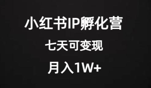 价值2000+的小红书IP孵化营项目，超级大蓝海，七天即可开始变现，稳定月入1W+-鑫梵淘
