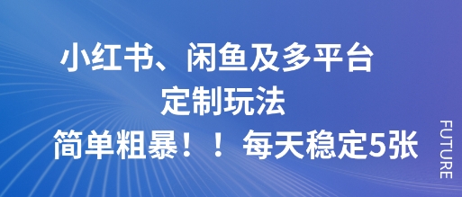 小红书、闲鱼及多平台定制玩法简单粗暴！每天稳定5张-鑫梵淘
