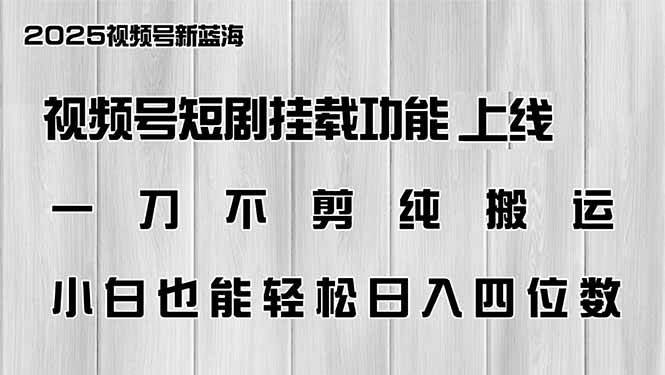 （14310期）视频号短剧挂载功能上线，一刀不剪纯搬运，小白也能轻松日入四位数-鑫梵淘