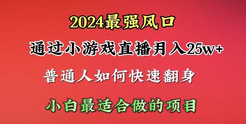 (10020期)2024年最强风口，通过小游戏直播月入25w+单日收益5000+小白最适合做的项目-鑫梵淘