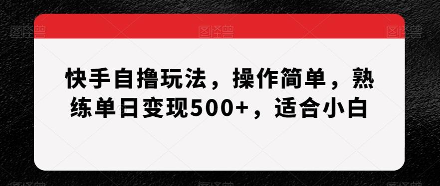 快手自撸玩法，操作简单，熟练单日变现500+，适合小白【揭秘】-鑫梵淘
