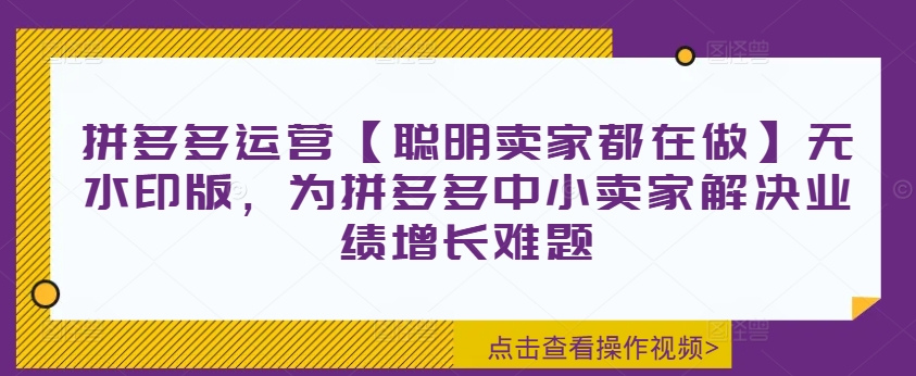拼多多运营【聪明卖家都在做】无水印版，为拼多多中小卖家解决业绩增长难题-鑫梵淘