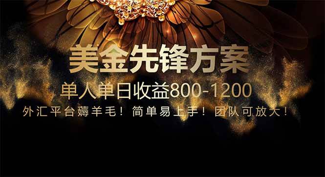 （14761期）免费技术！小众赛道！一年布局抵三年努力，每日800+-鑫梵淘