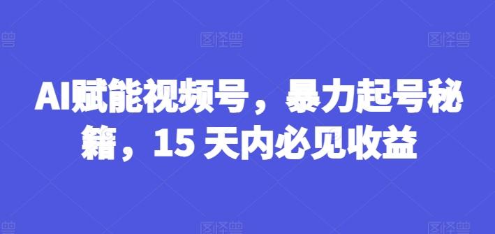 AI赋能视频号，暴力起号秘籍，15 天内必见收益【揭秘】-鑫梵淘