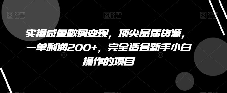 实操咸鱼数码变现，顶尖品质货源，一单利润200+，完全适合新手小白操作的项目【揭秘】-鑫梵淘