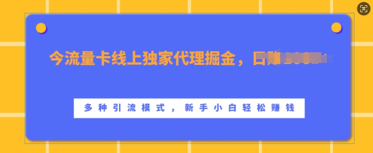 流量卡线上独家代理掘金，日入1k+ ，多种引流模式，新手小白轻松上手【揭秘】-鑫梵淘