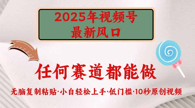 2025年视频号新风口，低门槛只需要无脑执行-鑫趣淘