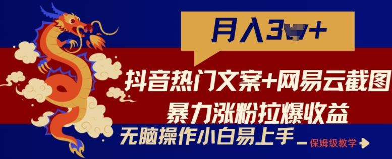 抖音热门文案+网易云截图暴力涨粉拉爆收益玩法，小白无脑操作，简单易上手【揭秘】-鑫梵淘