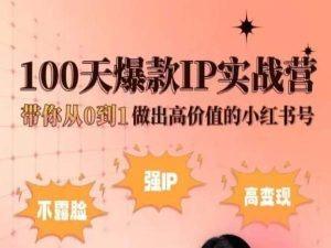 小红书100天爆款IP实战营，带你从0到1做出高价值的小红书号-鑫梵淘