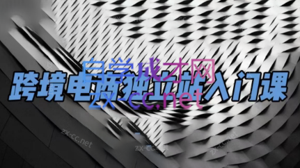 团长·跨境电商独立站入门课(2小时精华)-鑫梵淘