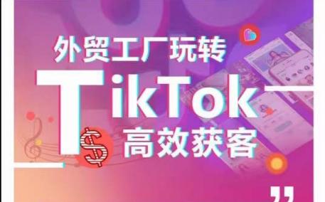 外贸工厂玩转TikTok高效获客，多种引流方式与账号定位技巧，拆解爆款短视频打造成功案例-鑫梵淘