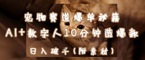 宠物赛道爆单秘籍：AI+数字人10分钟造爆款，日入1k-鑫梵淘