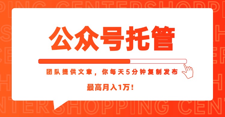 【公众号托管 】我提供文章，你每天５分钟复制发布，最高月入1W-鑫梵淘