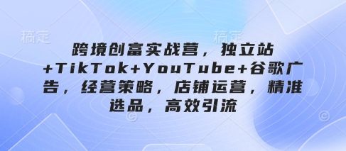 跨境创富实战营，独立站+TikTok+YouTube+谷歌广告，经营策略，店铺运营，精准选品，高效引流-鑫梵淘