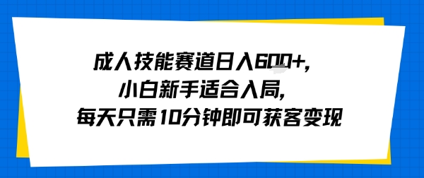 成人技能赛道日入多张，小白新手适合入局，每天只需10分钟即可获客变现-鑫梵淘
