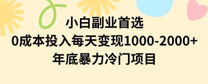 小白副业首选，0成本投入，每天变现1000-2000年底暴力冷门项目【揭秘】-鑫梵淘