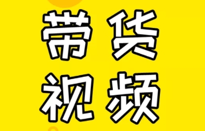 芒果老师·教你做抖音短视频和直播带货-鑫梵淘