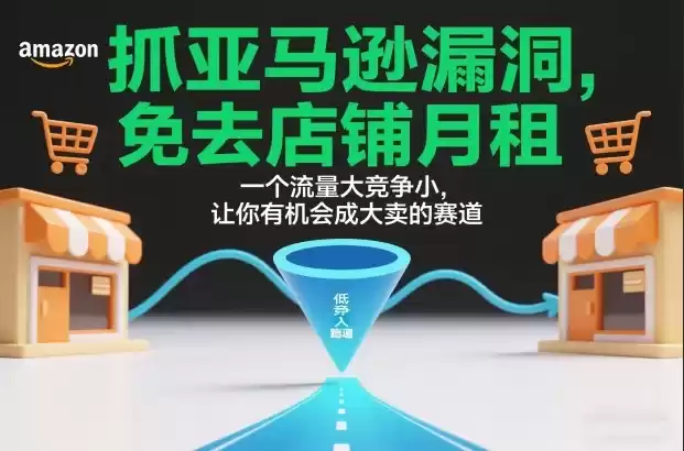 抓亚马逊漏洞，免去店铺月租，一个流量大竞争小，让你有机会成大卖的赛道-鑫梵淘
