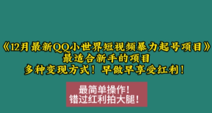 12月最新QQ小世界短视频暴力起号项目，最适合新手的项目，多种变现方式-鑫梵淘