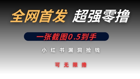 全网首发无限零撸捡钱项目，小红书一张截图0.5元可无限零撸-鑫梵淘