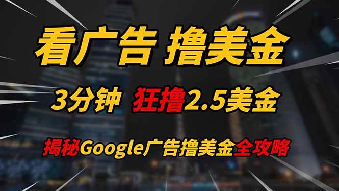 （14701期）看广告，撸美金！！3分钟赚2.5美金！！日入200美金不是梦！揭秘Google…-鑫梵淘
