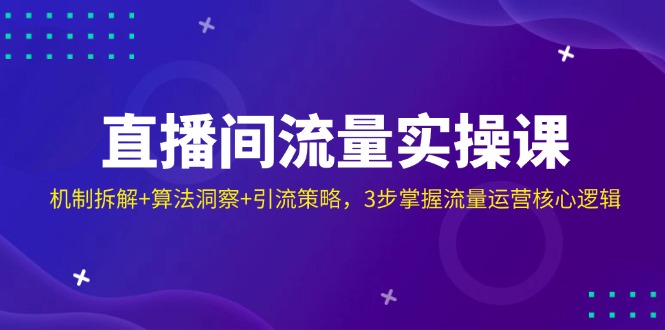 （14122期）直播间流量实操课：机制拆解+算法洞察+引流策略，3步掌握流量运营核心逻辑-鑫梵淘
