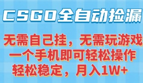 CSGO自动捡漏项目，最新独家玩法，一个手机可操作，新手小白轻松月入1W+，操作简单易上手【揭秘】-鑫梵淘