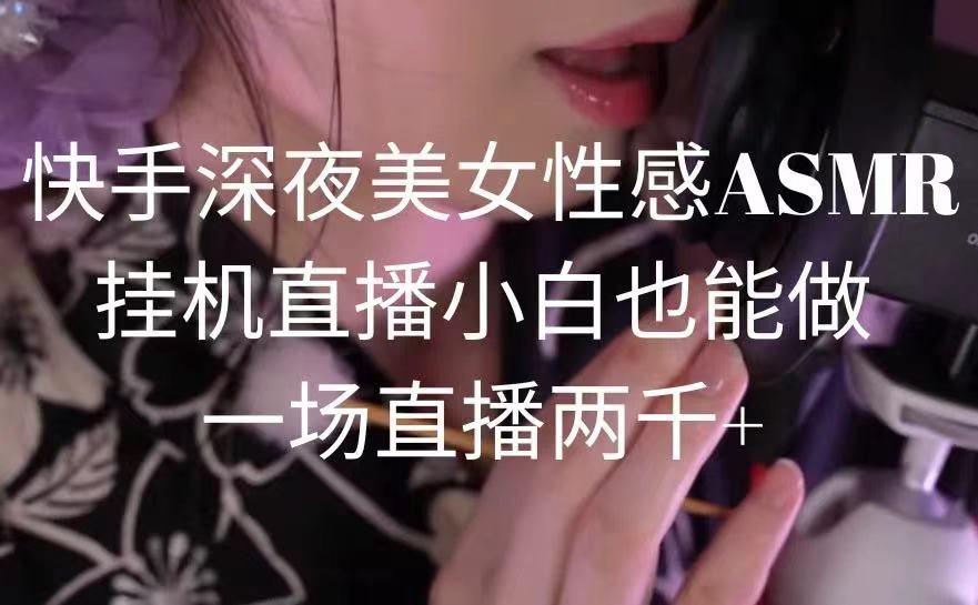 快手深夜美女性感ASMR挂机直播，小白也能做，一场直播两千+-鑫梵淘
