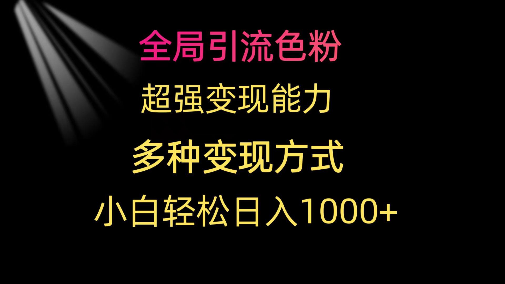(9680期)全局引流色粉 超强变现能力 多种变现方式 小白轻松日入1000+-鑫梵淘