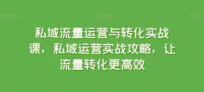私域流量运营与转化实战课，私域运营实战攻略，让流量转化更高效-鑫梵淘