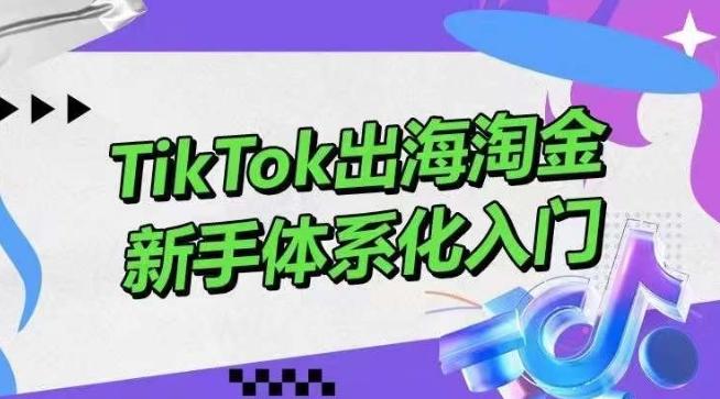 TikTok出海淘金，新手体系化入门，零基础快速入门，掌握短视频、直播带货等引流到变现的知识-鑫梵淘