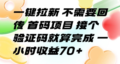 一键拉新 不需要回传 首码项目 接个验证码就算完成 一小时收益70+【揭秘】-鑫梵淘