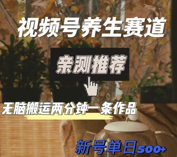 视频号养生赛道暴力掘金，无脑搬运，两分钟一条作品-新日单入500+-鑫梵淘