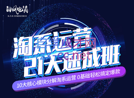 淘系运营21天速成班(更新24年6月)-鑫梵淘