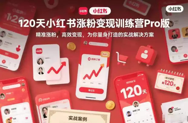 120天小红书涨粉变现训练营Pro版，精准涨粉，高效变现，为你量身打造的实战解决方案-鑫梵淘